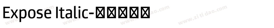 Expose Italic字体转换